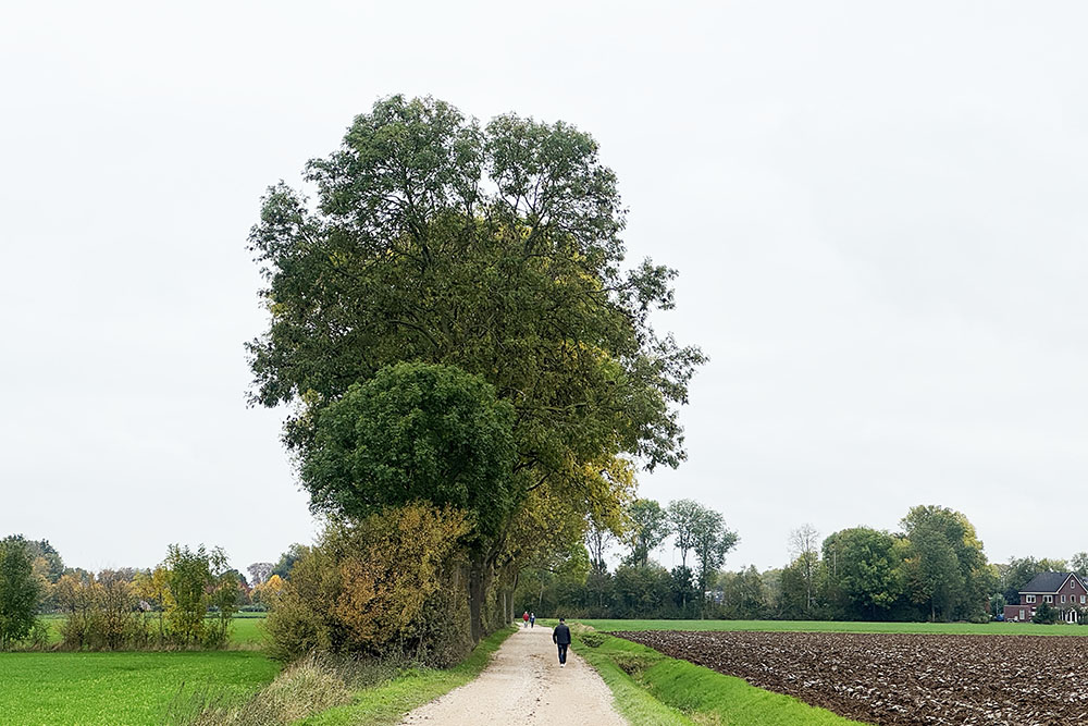 grijsopreis-nederland-highlight-pieterpad-etappe17-wandelaars Wandelaars aan het begin van etappe 17 van het Pieterpad