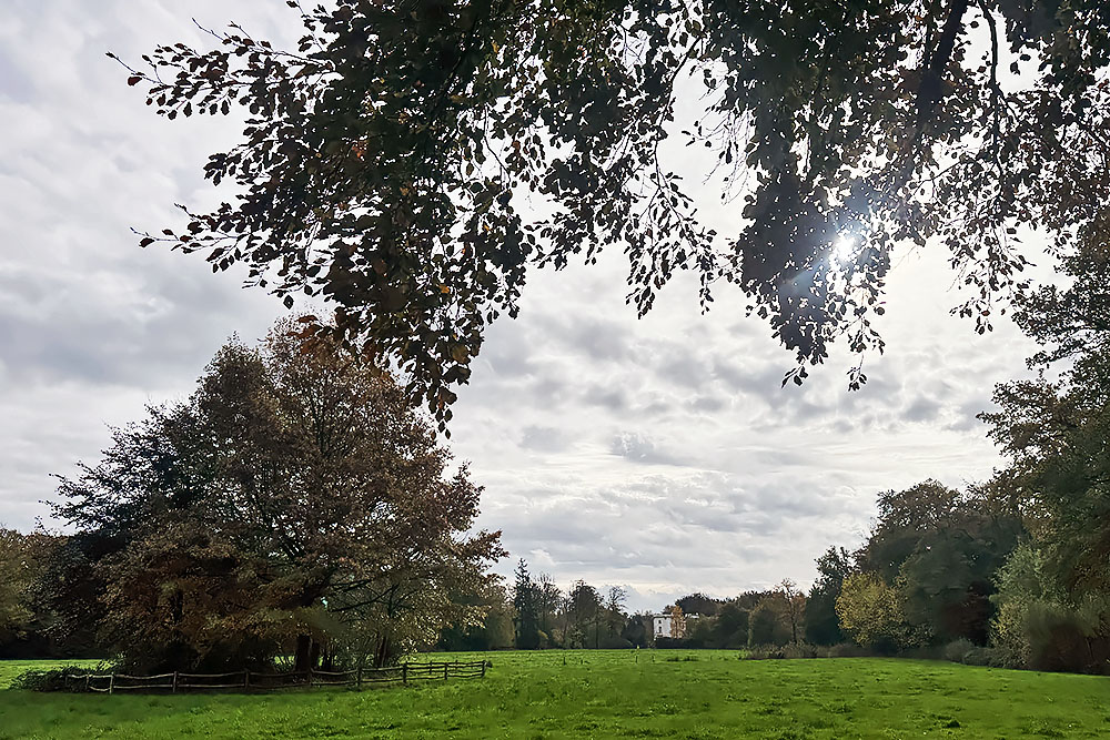 grijsopreis-nederland-highlight-tt-woudenberg-de-boom2 Landgoed De Boom