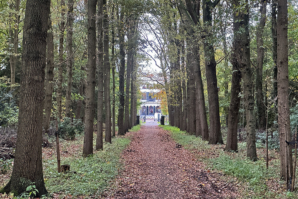 grijsopreis-nederland-highlight-tt-woudenberg-geerestein1 Geerestein