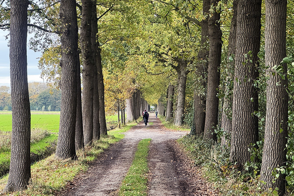 grijsopreis-nederland-highlight-tt-woudenberg-gravelbiker gravelbiker