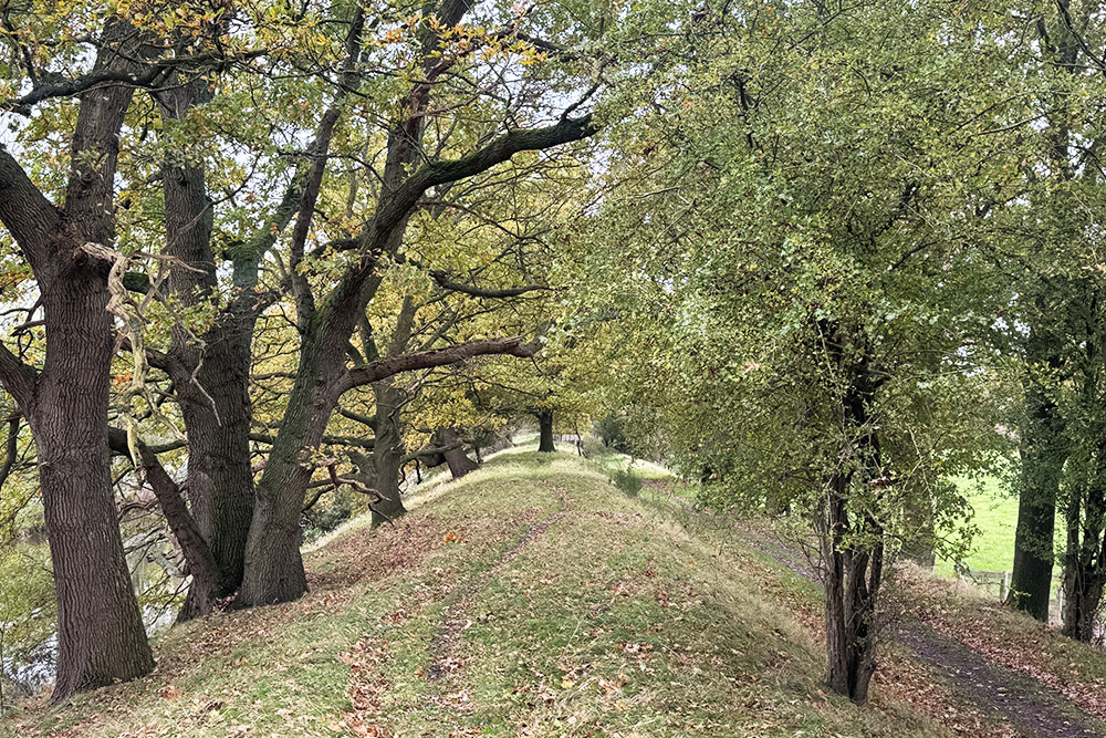 grijsopreis-nederland-highlight-tt-woudenberg-liniedijk2 Grebbelinie Liniedijk