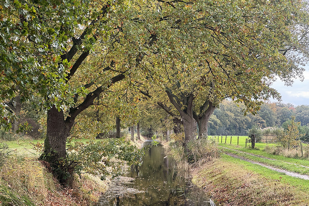 grijsopreis-nederland-highlight-tt-woudenberg-sloot Sloot