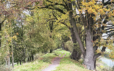 Trage Tocht Woudenberg tijdens de herfst