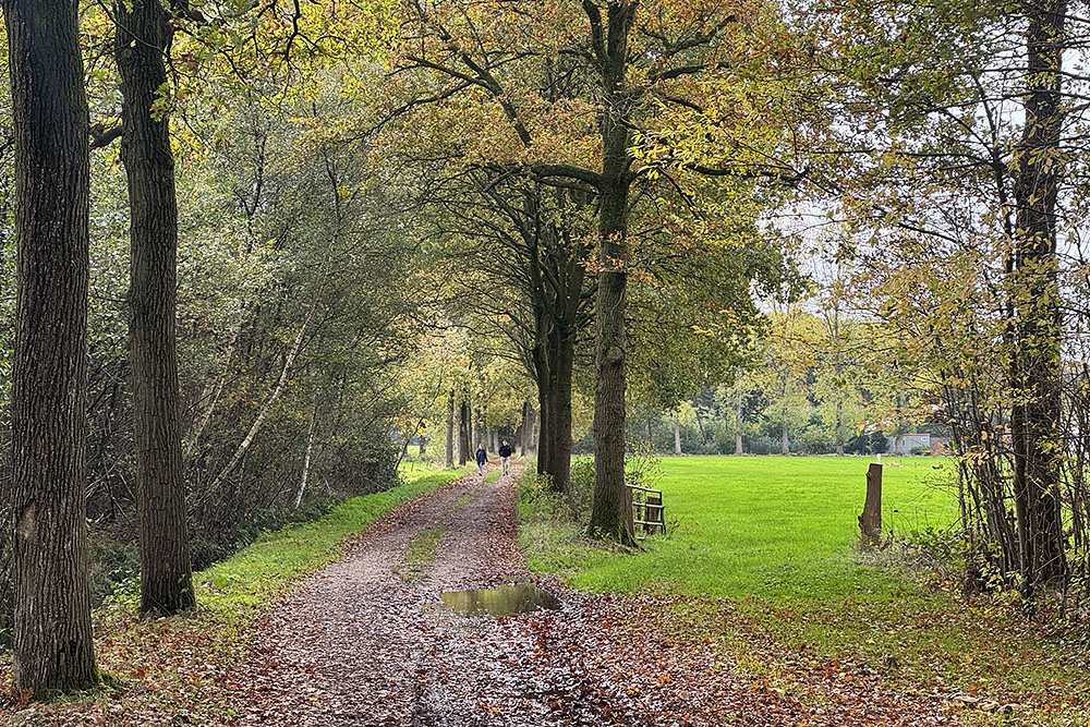 grijsopreis-nederland-highlight-tt-woudenberg-wandelaars Wandelaars