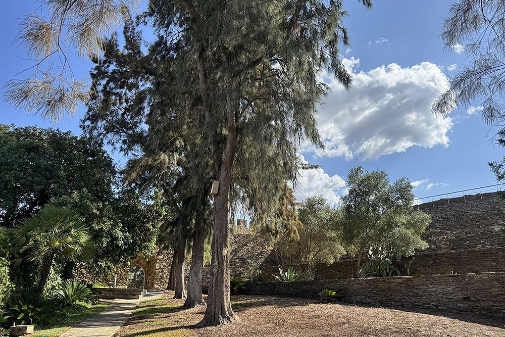 Binnenplaats kasteel