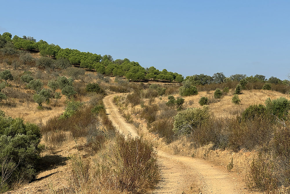grijsopreis-portugal-highlight-via-algarviana-wandelingen-etappe1-zandpad Zandpad