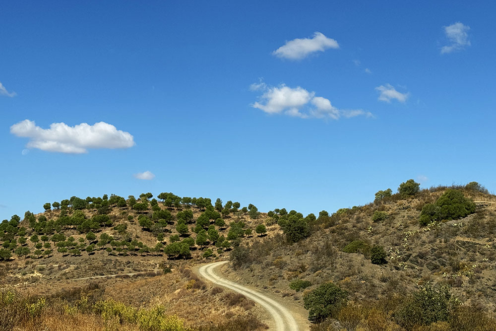 grijsopreis-portugal-highlight-via-algarviana-wandelingen-rondwandeling-winding-road Winding roads