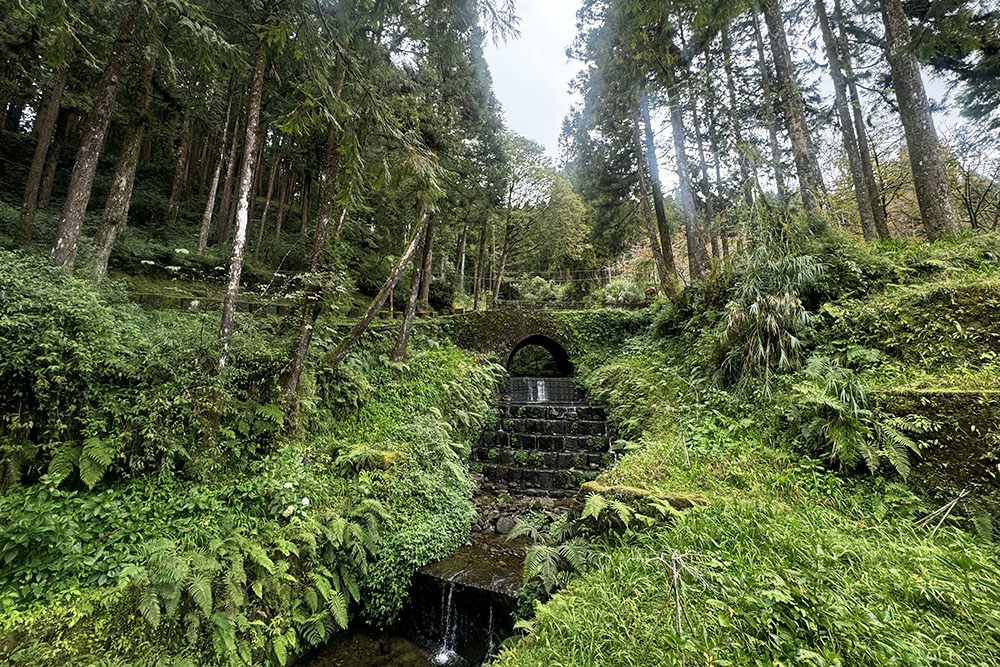 grijsopreis-taiwan-highlight-alishan-bergbeek Beekje