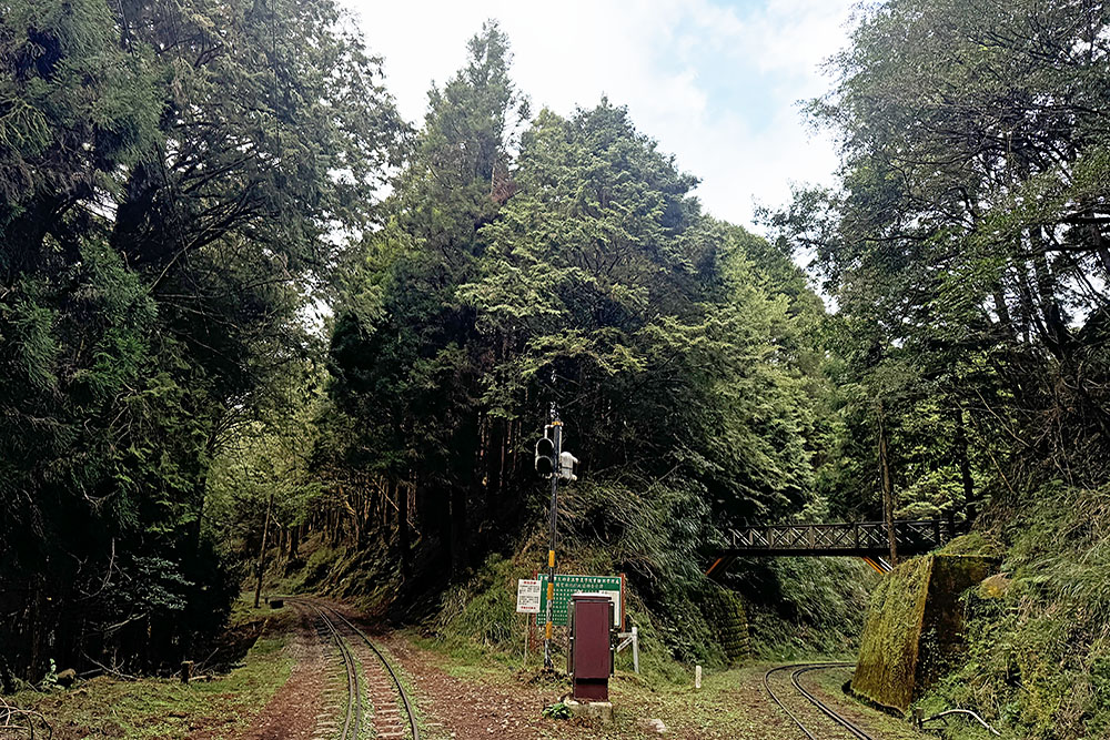 grijsopreis-taiwan-highlight-alishan-spoor Spoorlijn