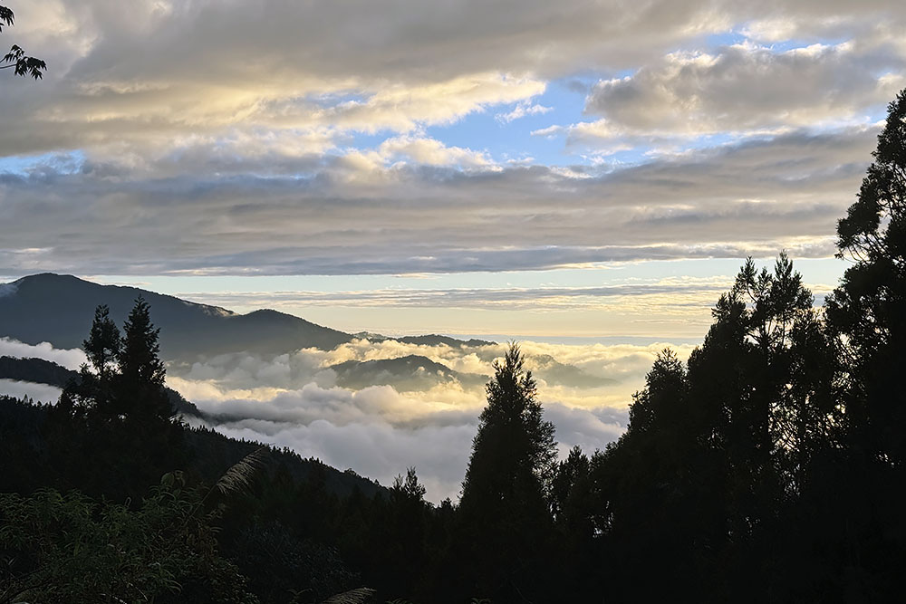 grijsopreis-taiwan-highlight-alishan-uitzicht-wolken Uitzicht boven de wolken