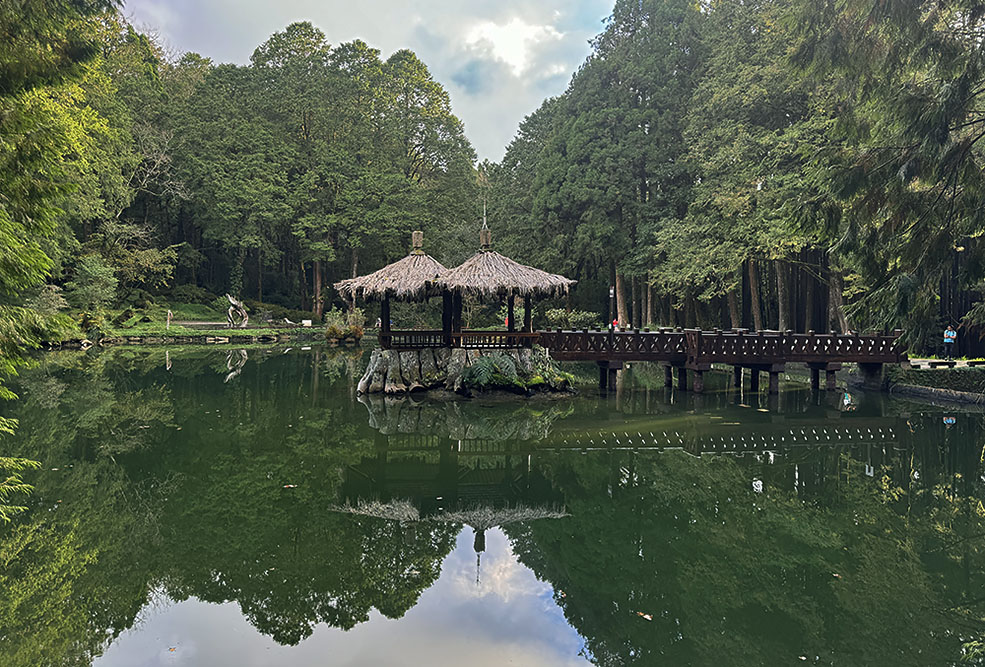 grijsopreis-taiwan-highlight-alishan-vijver Vijver