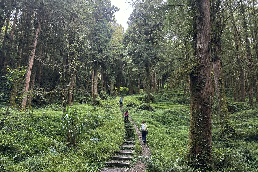 grijsopreis-taiwan-highlight-alishan-wandelaars Wandelaars
