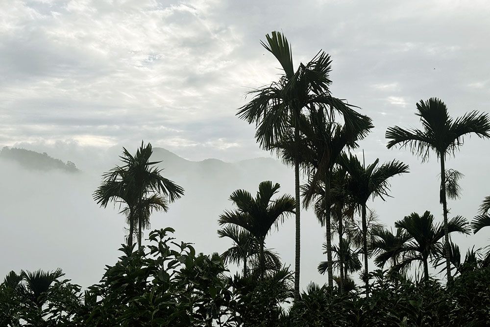 Vallen van de duisternis