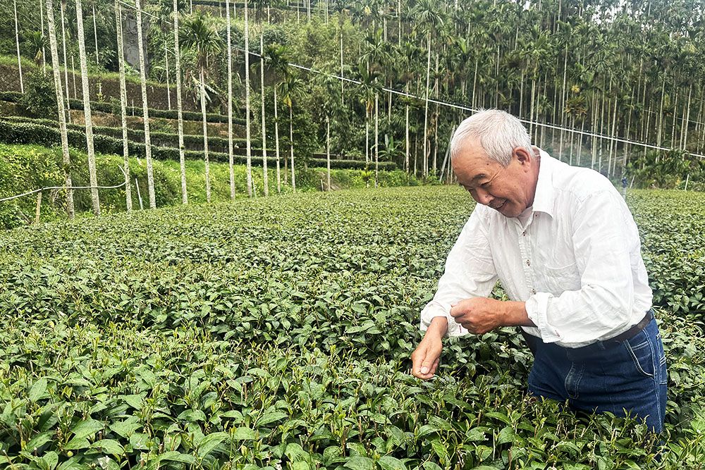 Onze gastheer van het hotel in Meishan