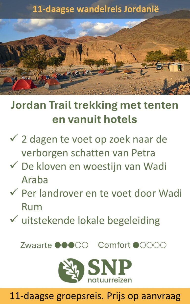 SNP – Jordanië – wandelreis – 143010