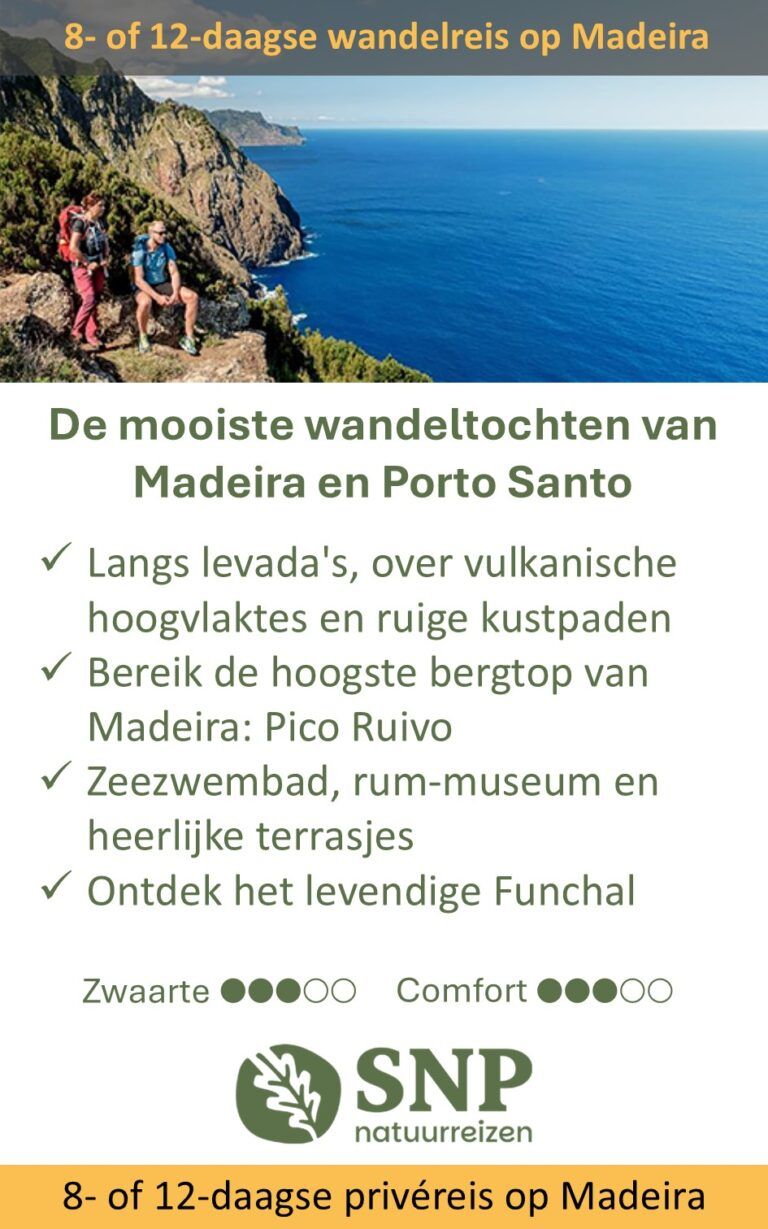 SNP – Madeira – 320001A