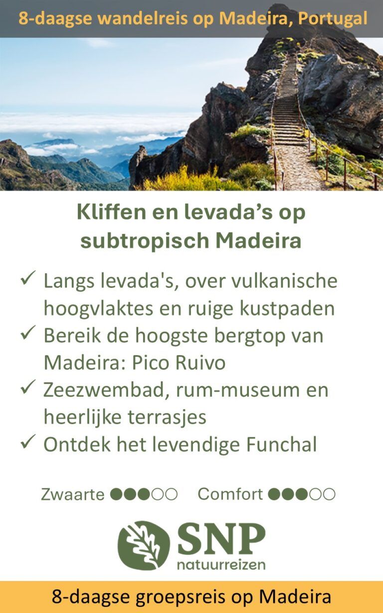 SNP – Madeira – 950100