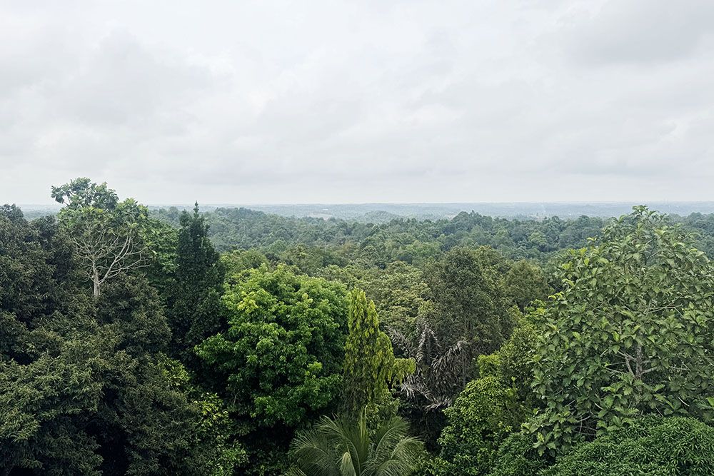 Uitzicht vanaf de uitkijktoren van het kantoor