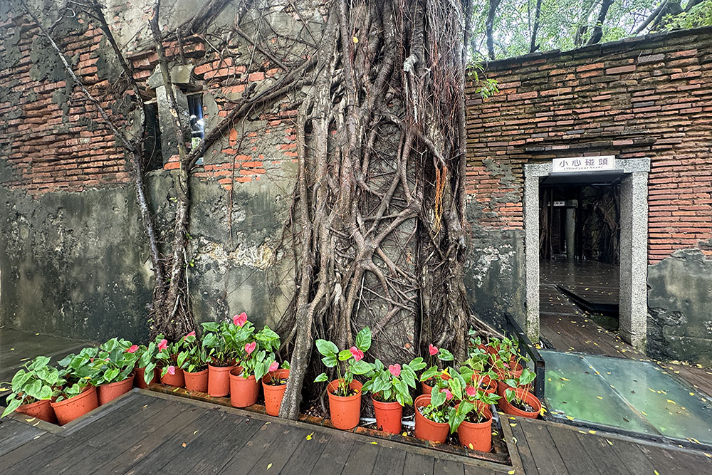 Anping Tree house