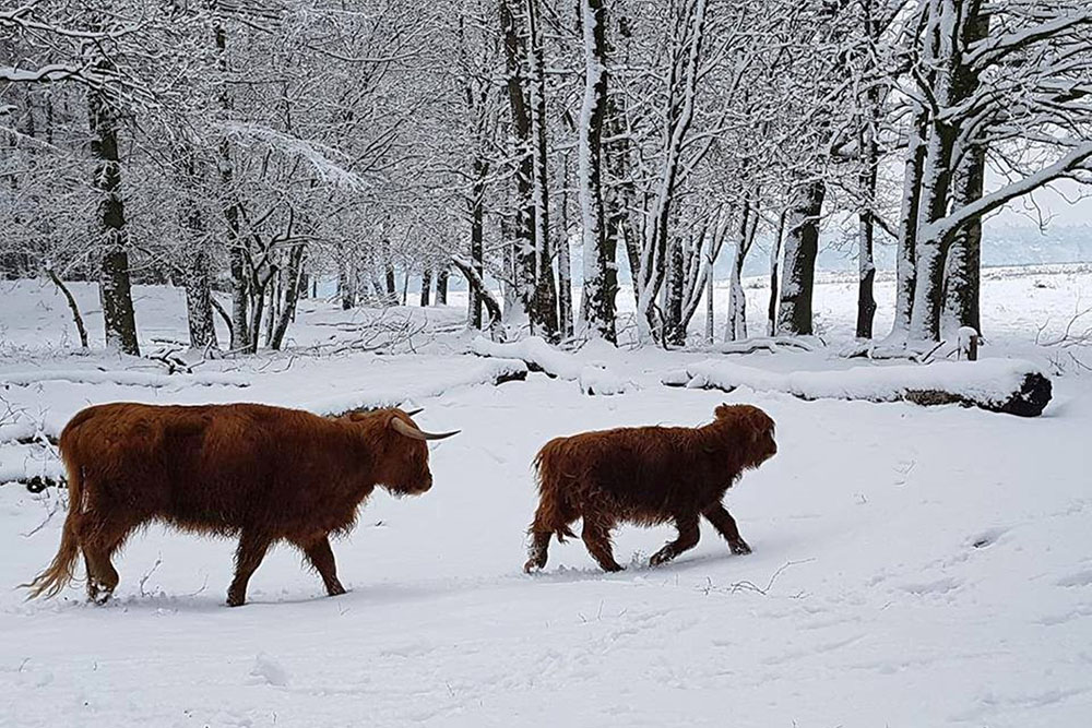 Bourgondisch wandelweekend Veluwezoom en Achterhoek 2026