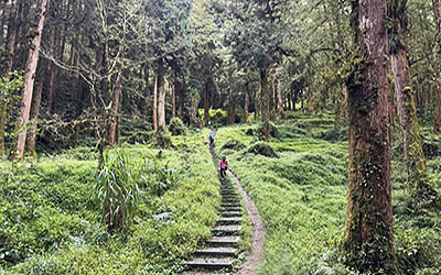 Top 10 mooiste wandelingen in het buitenland van 2025