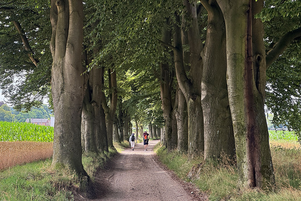 Etappe 11 van het Pieterpad