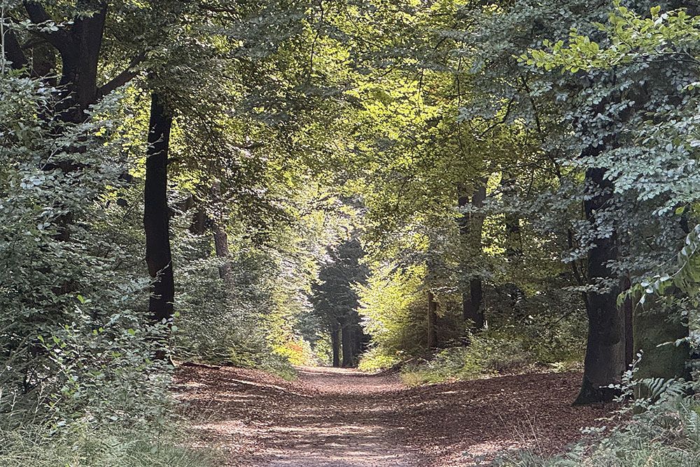 Etappe 16 van het Pieterpad