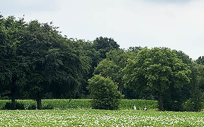 Top 10 wandelingen in Nederland van 2025