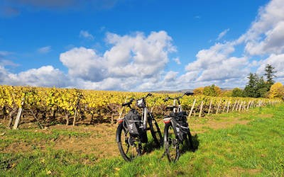 Ontspannen e-bike tour door Zuid-Bourgondië vanuit Cluny
