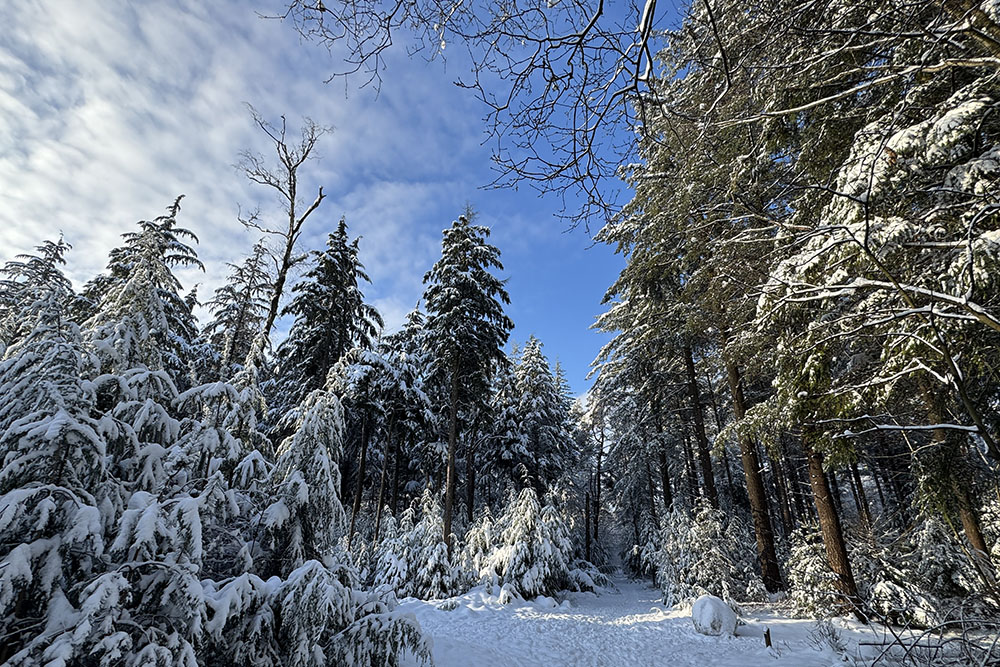 Polaire jungle bij Trage Tocht Driebergen