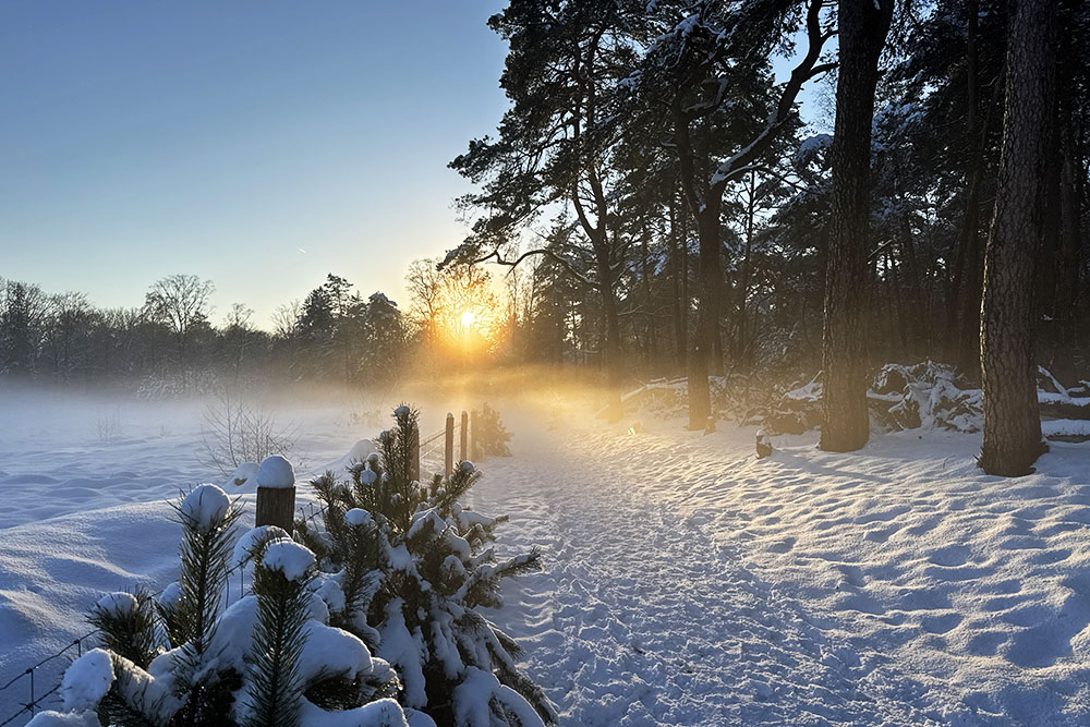Avondzon bij grondmist