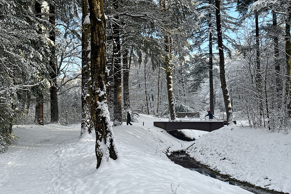 kanaaltje tijdens de Trage Tocht Driebergen winterwandeling