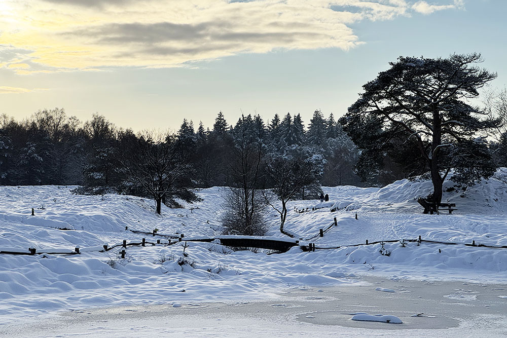 Vennetje tijdens de Trage Tocht Driebergen winterwandeling