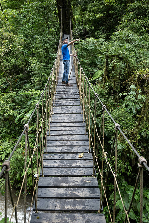 Hangbrug bij Monteverde in Costa Rica