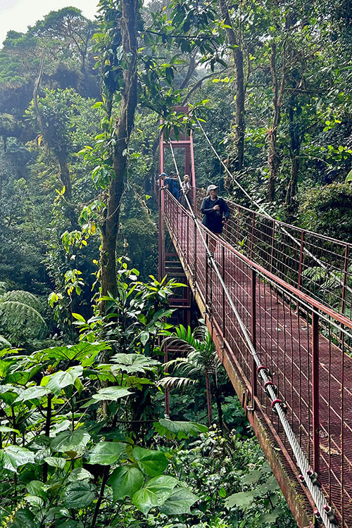 Hangbrug in het nevelwoud van Monteverde in Costa Rica