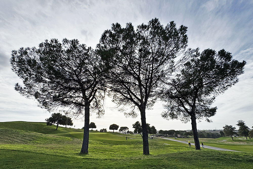 Bomentrio bij Marco Simone
