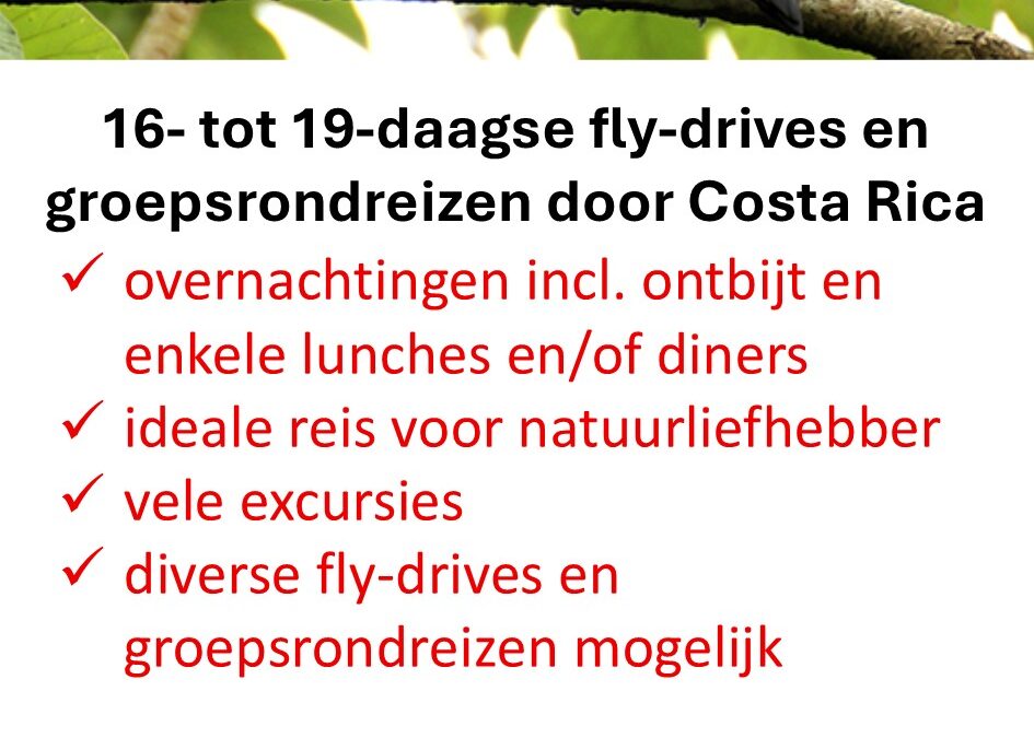 TUI – Costa Rica – fly-drives en groepsrondreizen