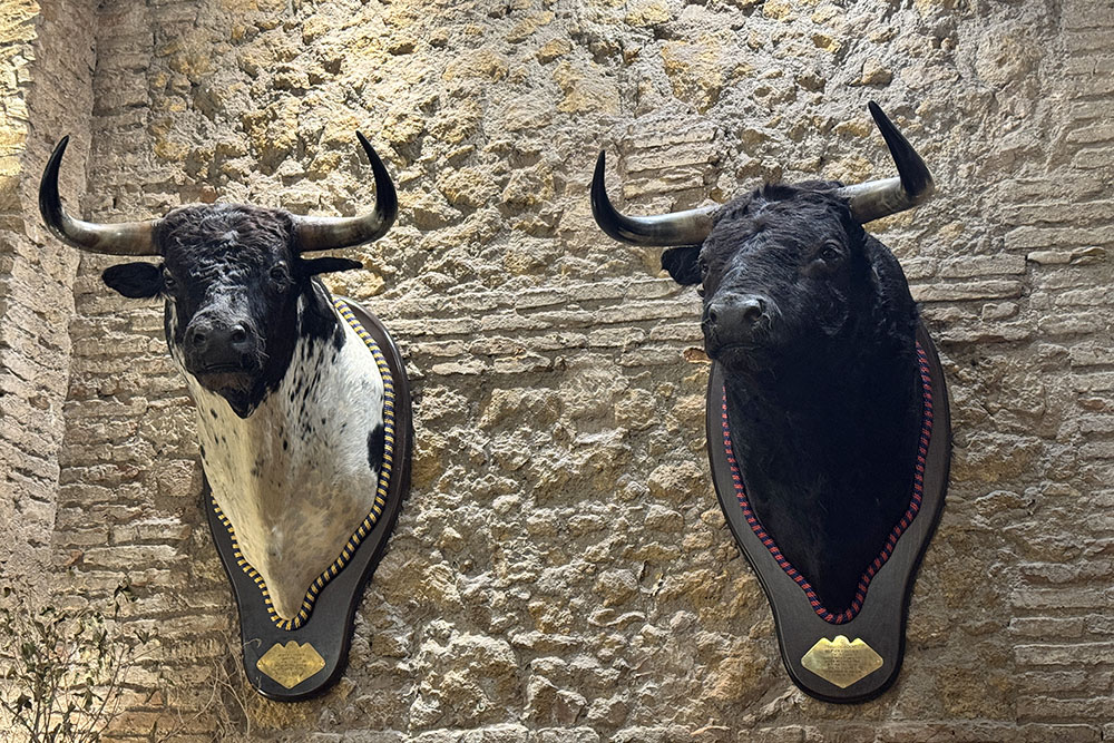 Restaurant met stierenkoppen