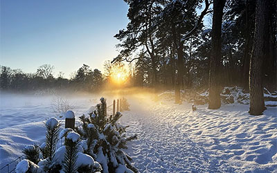 Winterwandelingen