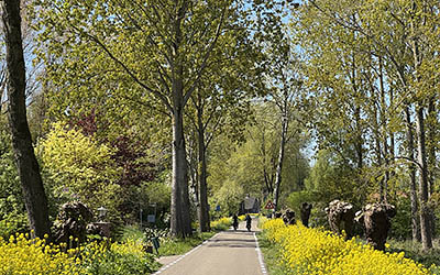 Zonnige fietstocht door de bijna uitgebloeide Betuwe