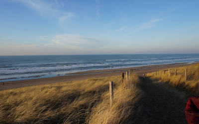 Vanuit de tram de duinen in: dit is het nieuwste nationale park