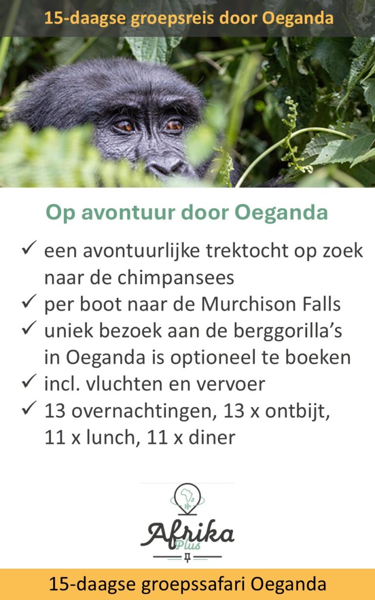Afrika Plus – Oeganda – 15 dagen – groepsreis
