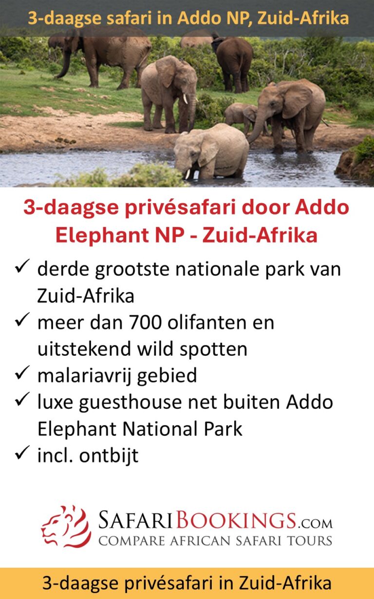 SafariBookings – 3 dagen luxe safari – Addo Elephant NP – Zuid-Afrika