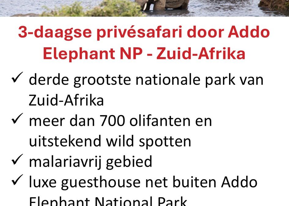 SafariBookings – 3 dagen luxe safari – Addo Elephant NP – Zuid-Afrika