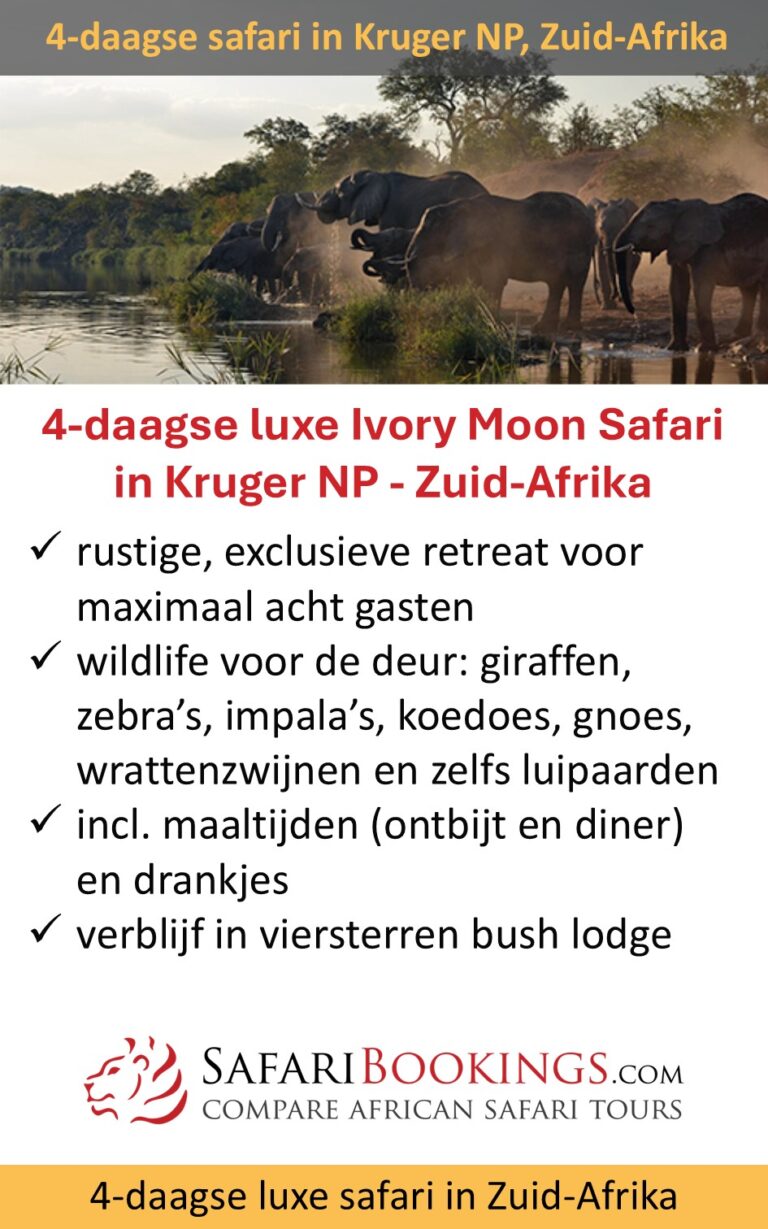 SafariBookings – 4 dagen luxe safari – Kruger NP – Zuid-Afrika
