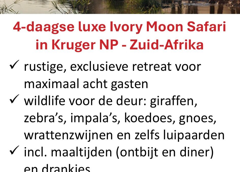 SafariBookings – 4 dagen luxe safari – Kruger NP – Zuid-Afrika