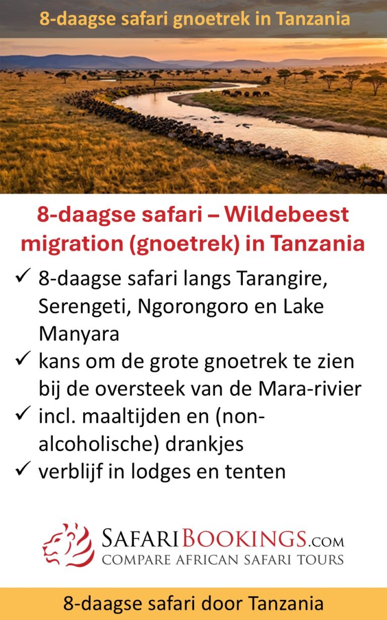 SafariBookings – 8 dagen safari – gnoetrek – Tanzania