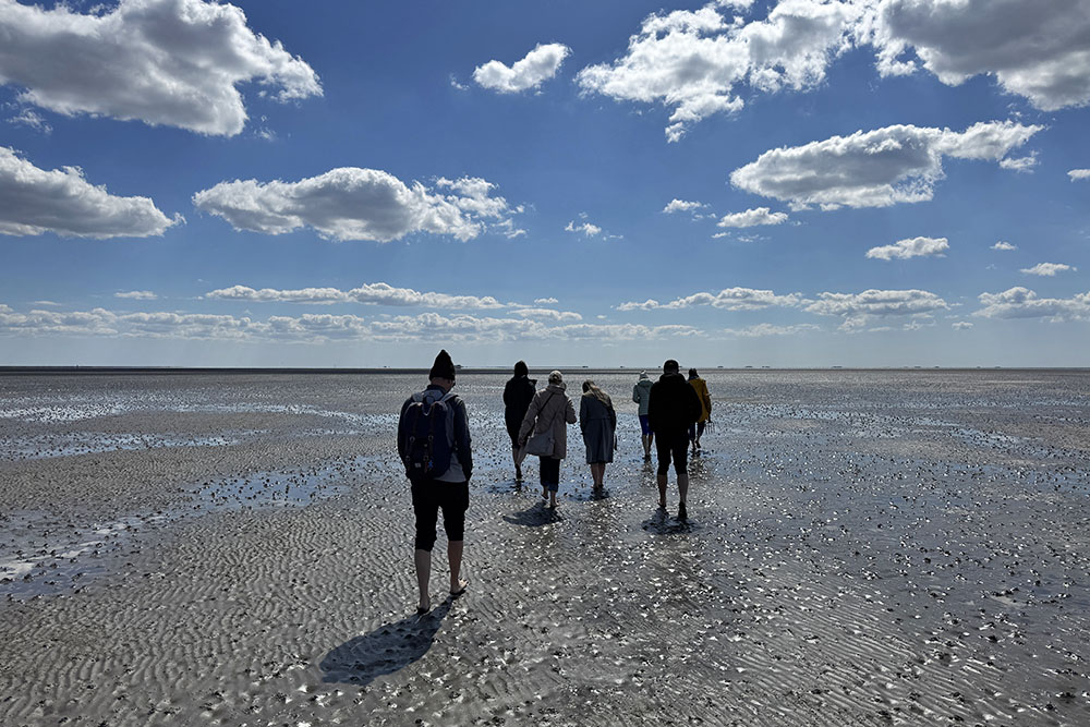 wadlopen in Noord-Friesland