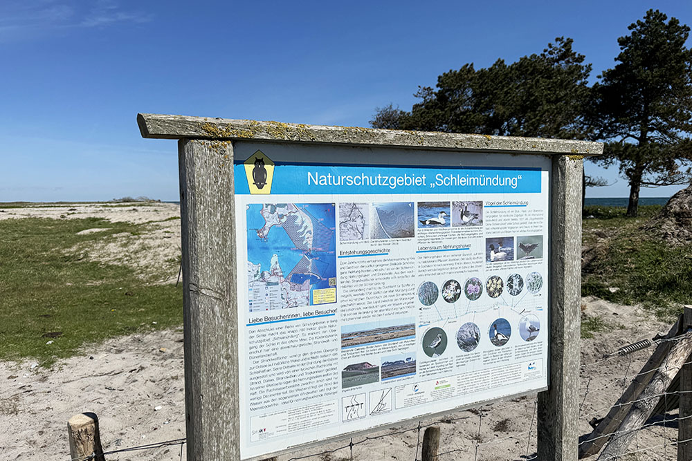 Natuurgebied bij de monding van de Schlei