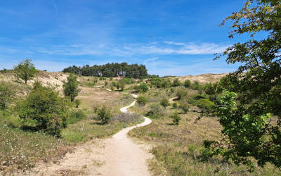 Prachtige duinwandeling in Zuid-Kennemerland